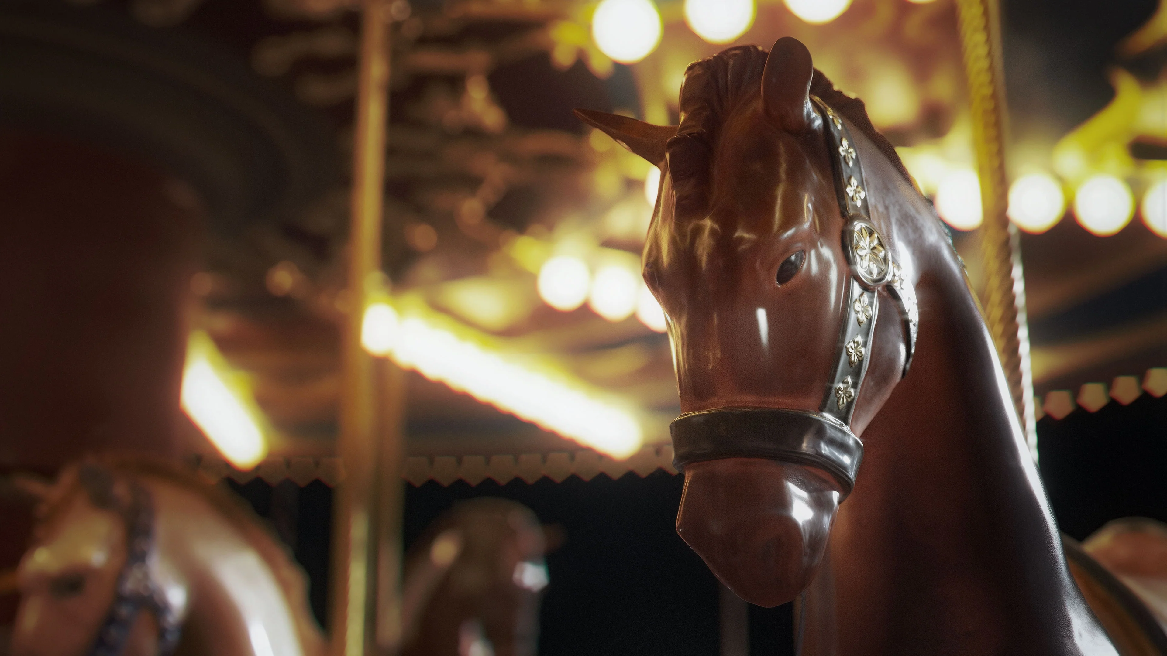Amusement Park - Image 6