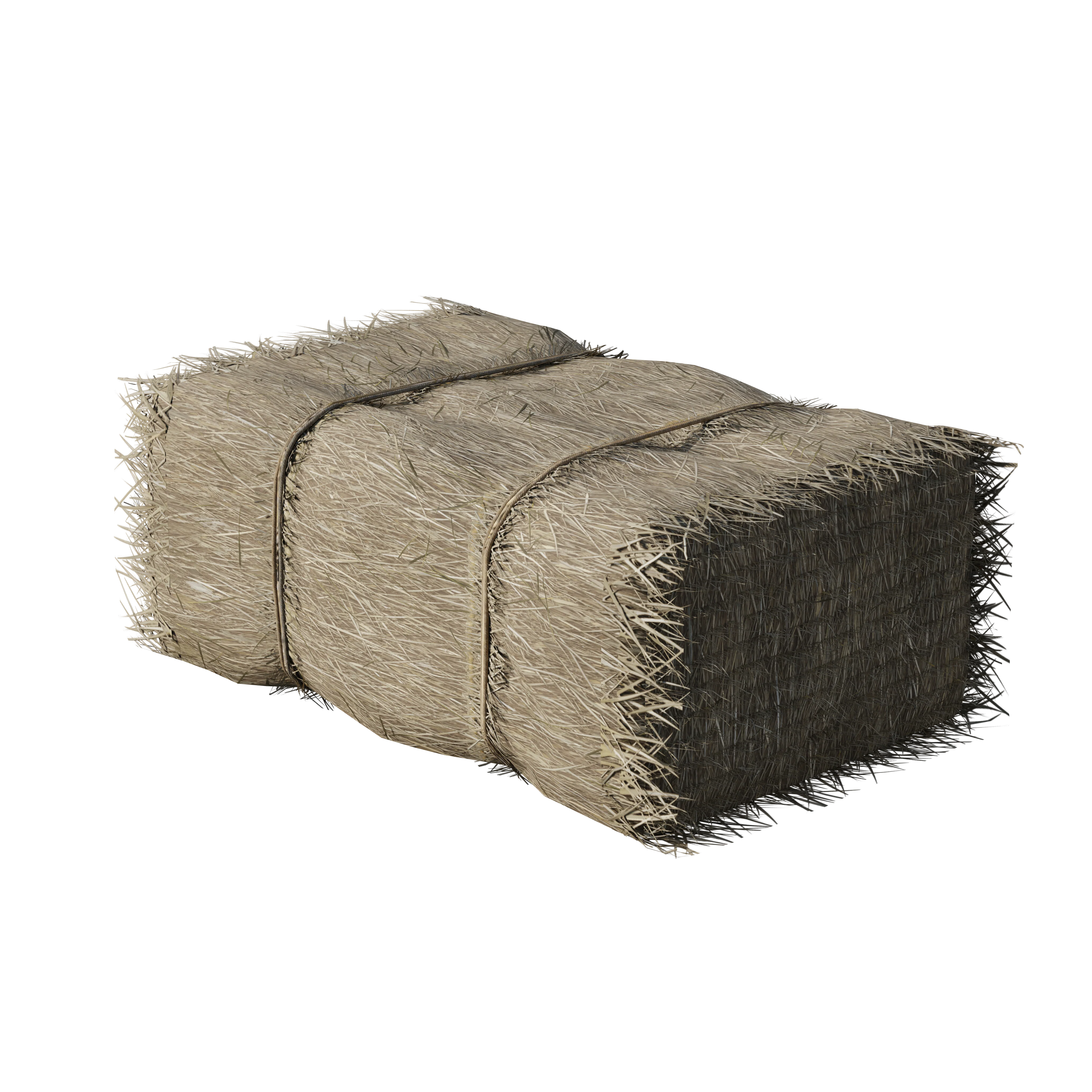 Medieval Siege - Image 220