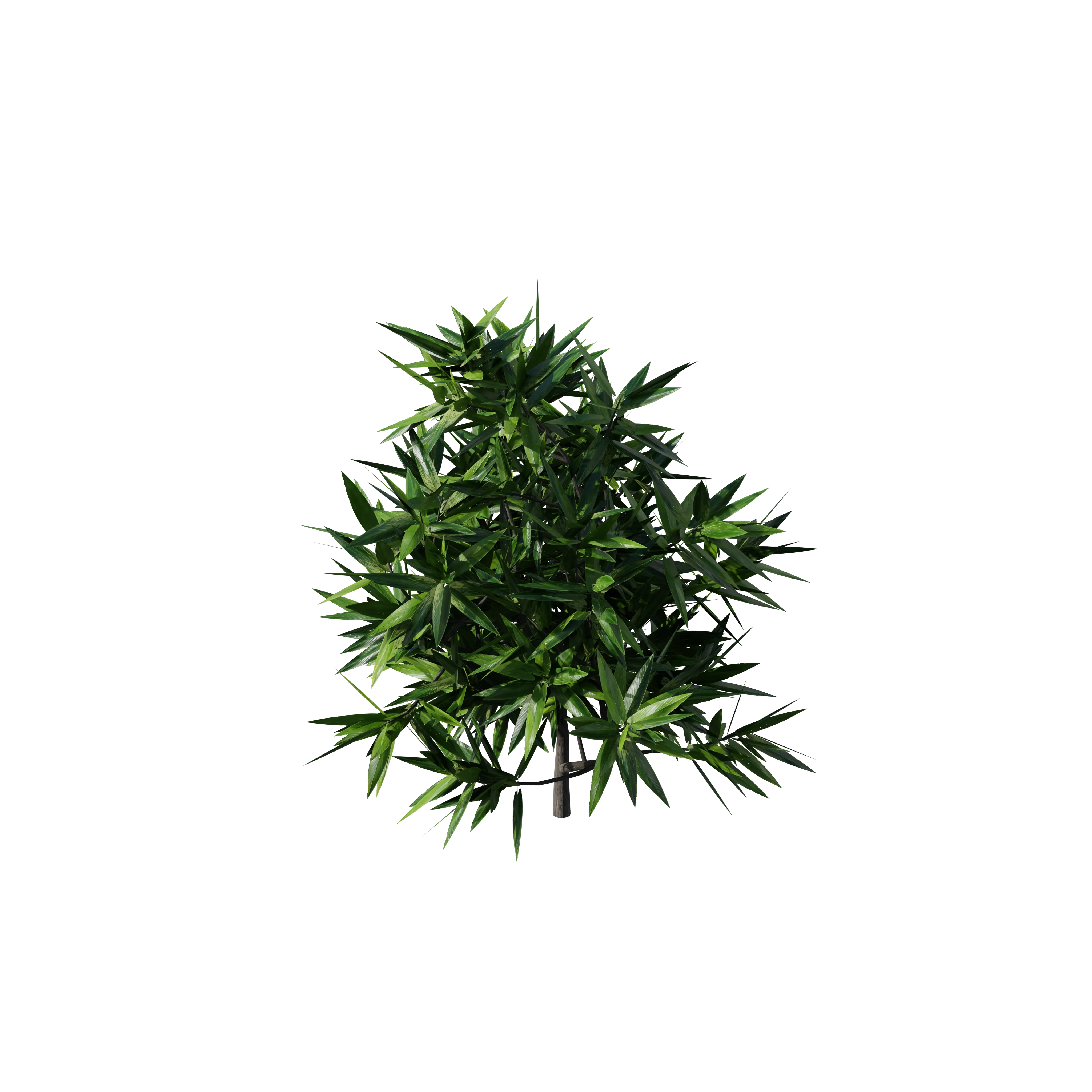 NEO NYC - Image 118