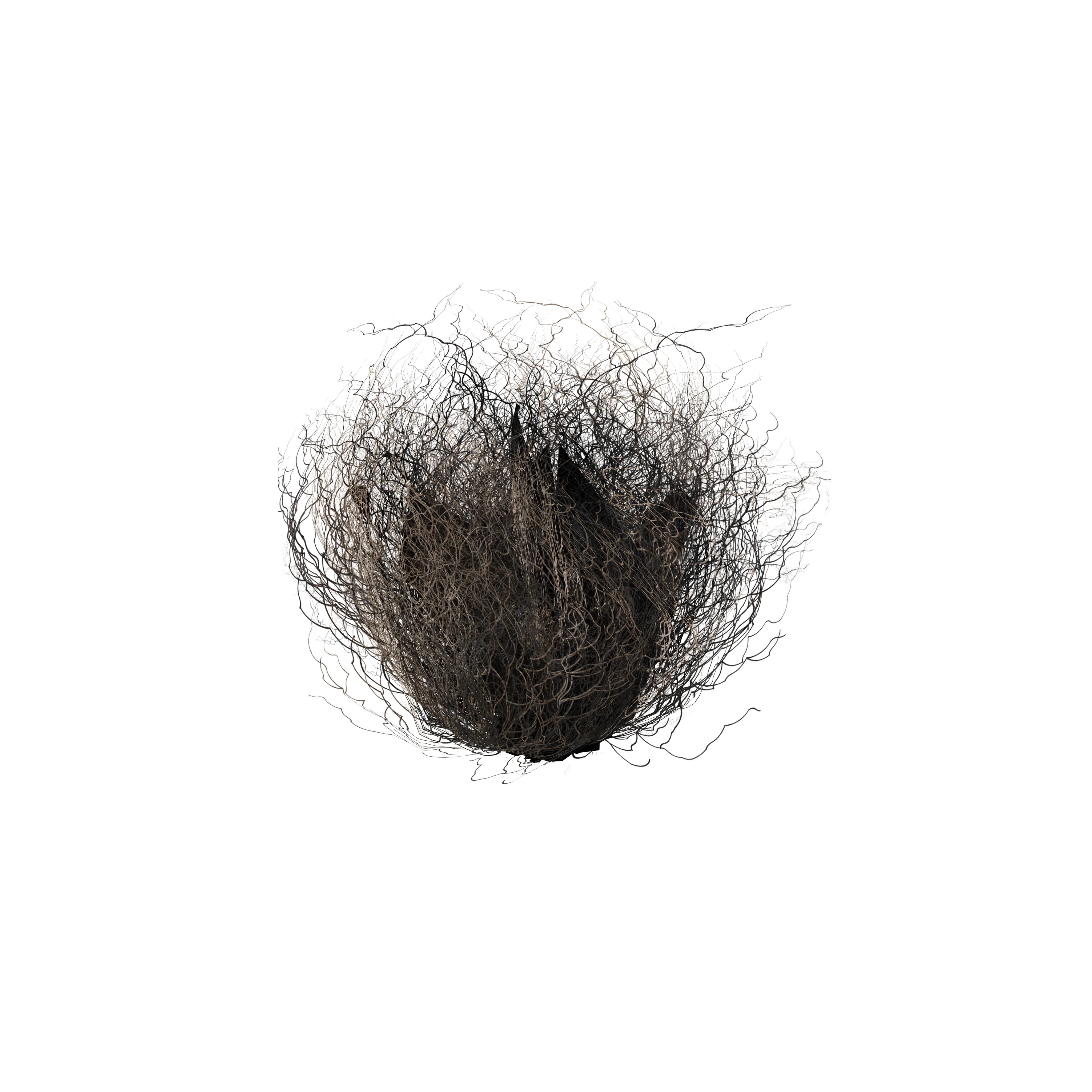 Outlaw - Image 117