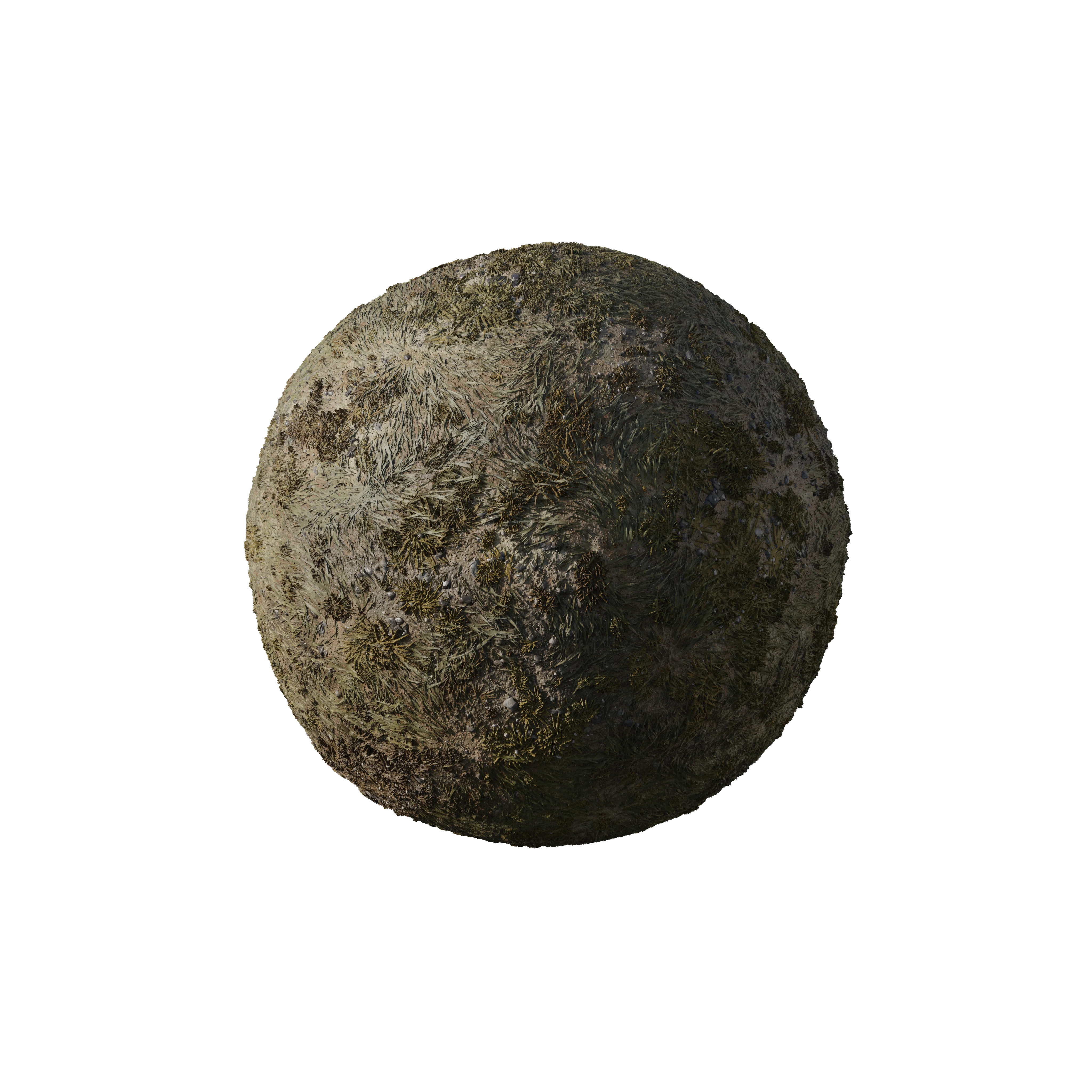 Treasure Island - Image 143