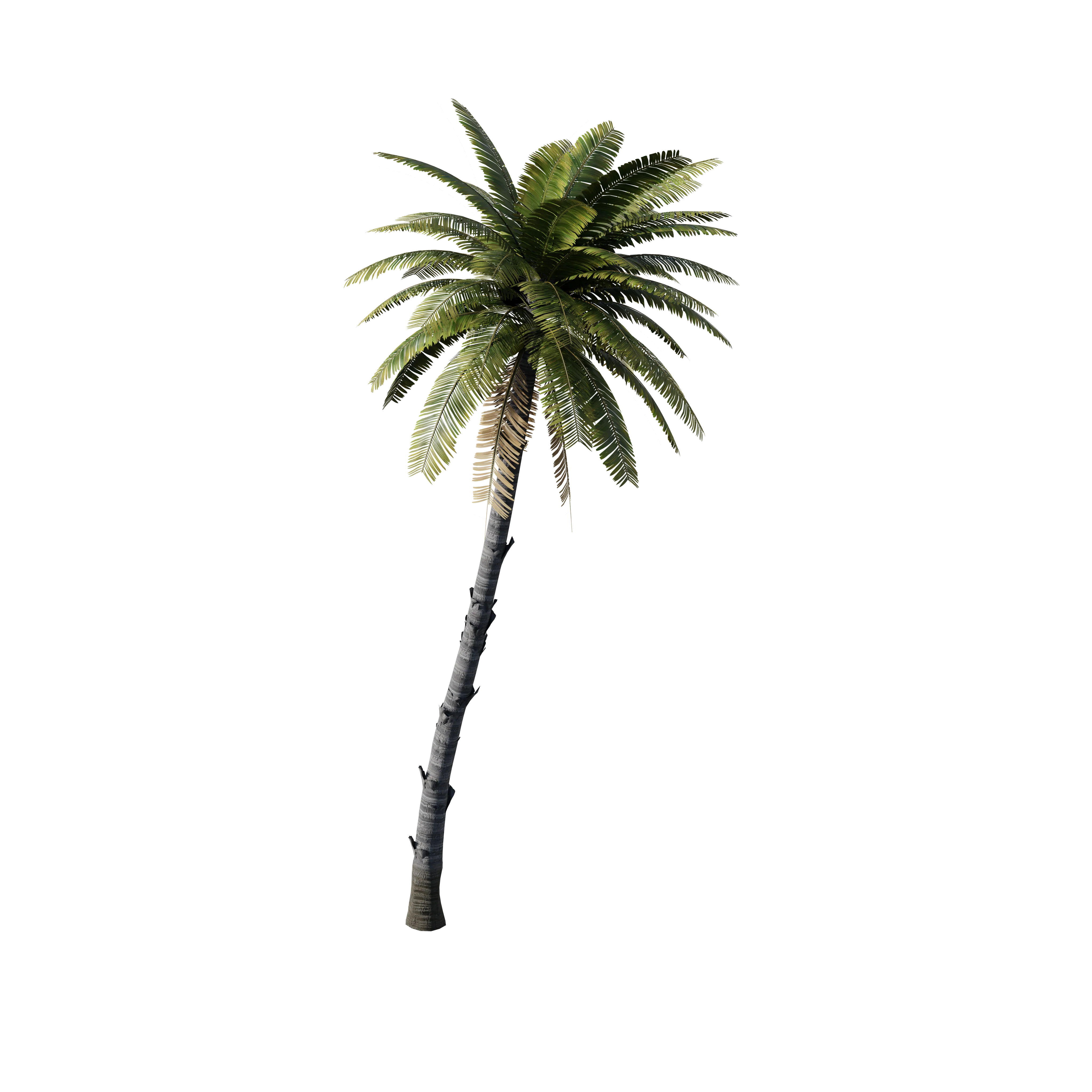 Treasure Island - Image 80